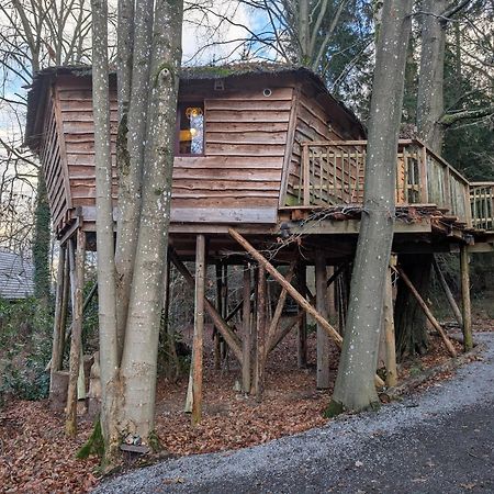 B&B La Cabane Du Bois Dormant Спа Екстериор снимка